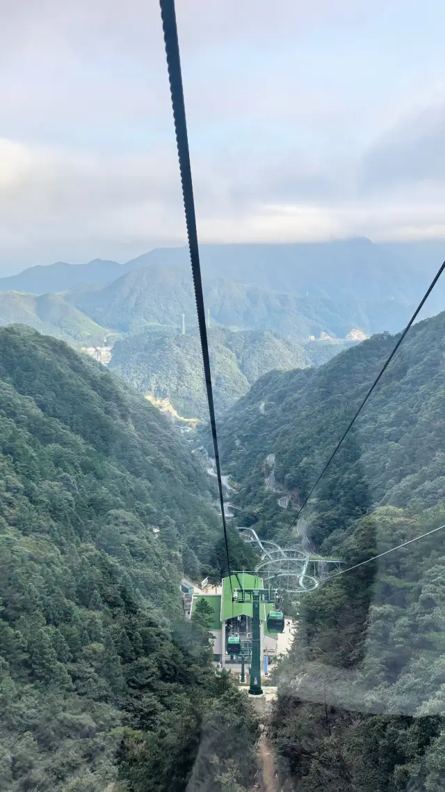 I want to see the view from the top myself