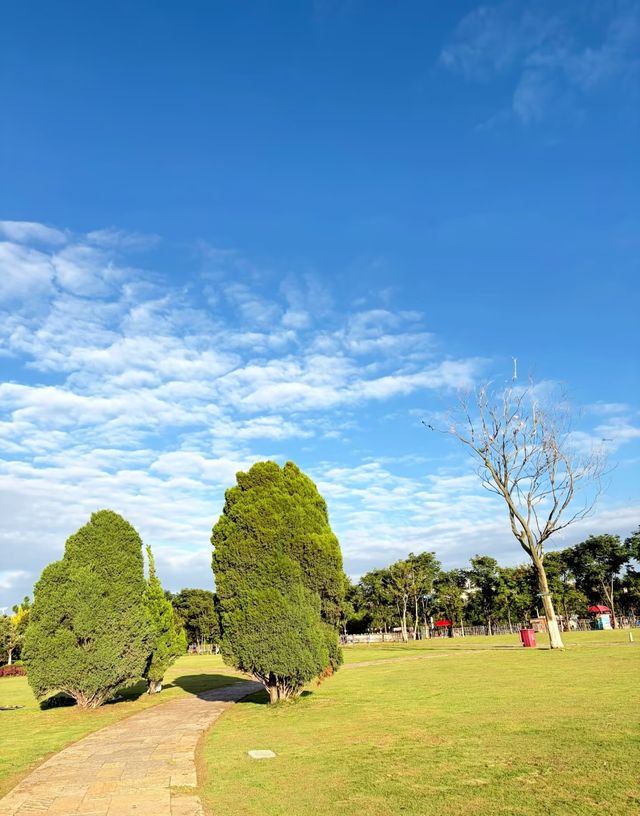 昆明小眾秘境!瑞士園公園拍婚紗照也太絕了吧 昆明小眾秘境!瑞士園公園拍婚紗照也太絕了吧