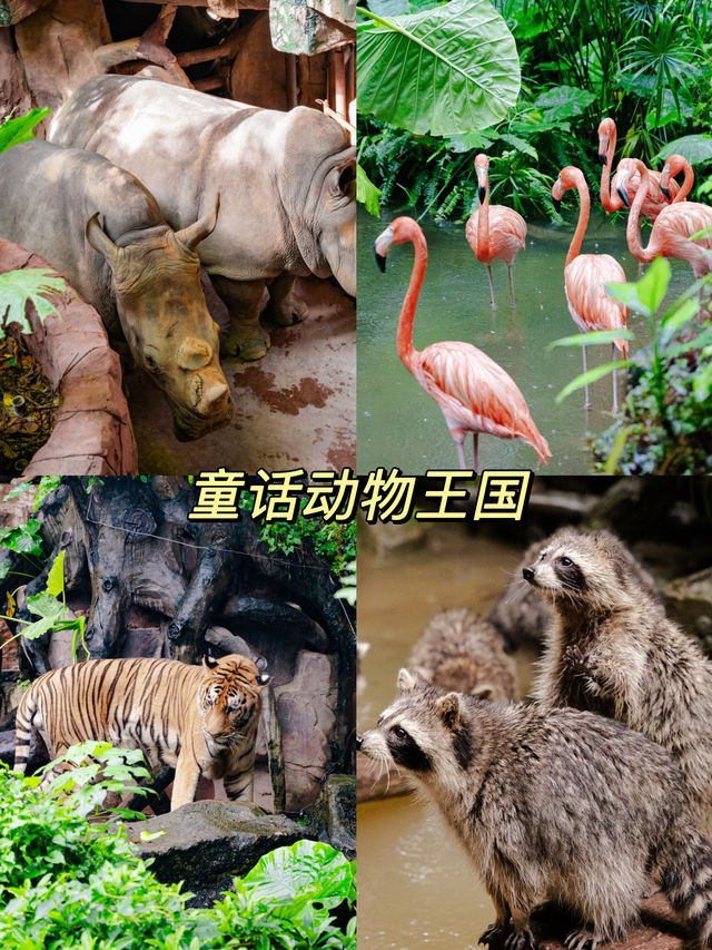 廣佛周邊遊長鹿旅遊休博園親子遊攻略