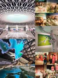 深圳遛娃一日遊 地鐵直達!免費!這條路線太香了