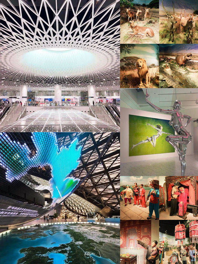 深圳遛娃一日遊 地鐵直達!免費!這條路線太香了 深圳遛娃一日遊 地鐵直達!免費!這條路線太香了