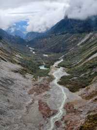 叢林界的一鯨落萬物生~