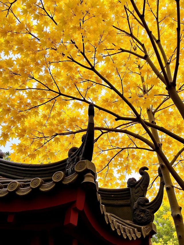 甘肅隱藏彩林秘境錯峰包場「隴上小九寨」