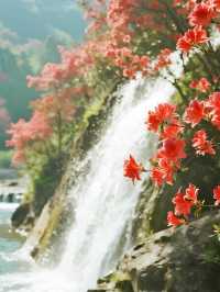 莫干山賞楓親子遊！帶娃追95%紅楓超治癒