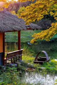 成都秋色指南：銀杏、紅楓與市井煙火交織的浪漫