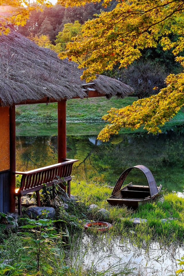 成都秋色指南：銀杏、紅楓與市井煙火交織的浪漫