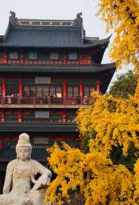 銀杏古剎最佳拍攝季