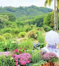 深圳仙湖花展開展啦