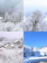 神木壘川西秘境中的森林、草甸與雪山盛宴