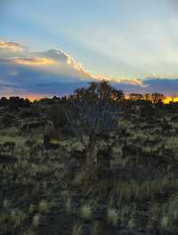 納米比亞絕美箭袋樹公園｜自帶仙氣的拍照天堂