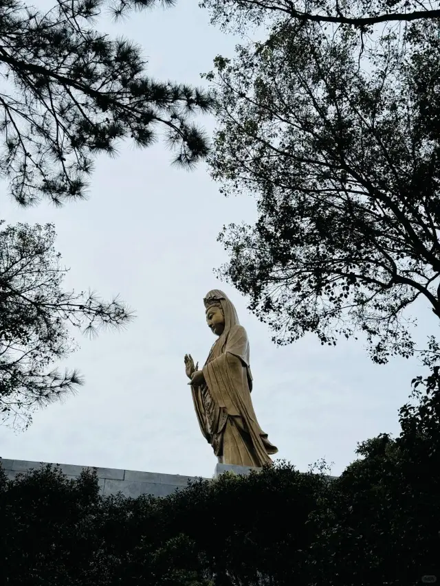 閩南人舟山普陀山3天2夜祈福全攻略