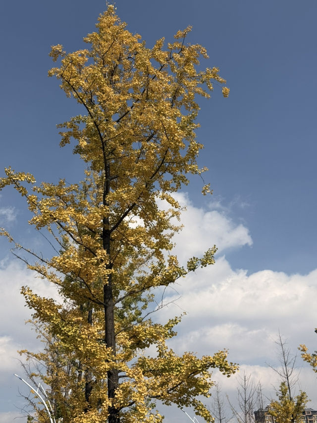 麒麟城的初冬,是打翻的調色盤 麒麟城的初冬,是打翻的調色盤