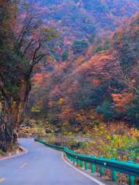 親子徒步看紅葉寶藏地，十八月潭保姆級攻略