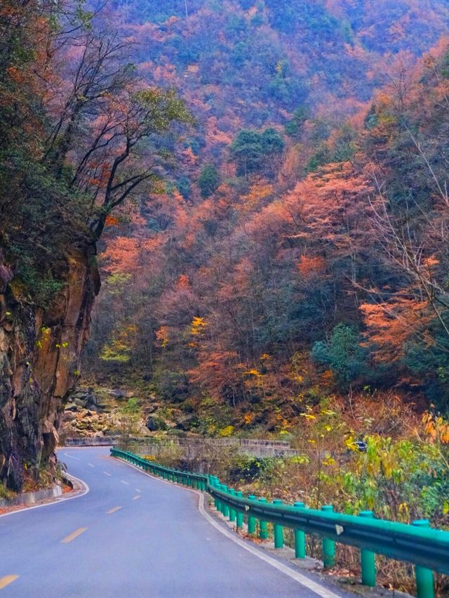 親子徒步看紅葉寶藏地，十八月潭保姆級攻略