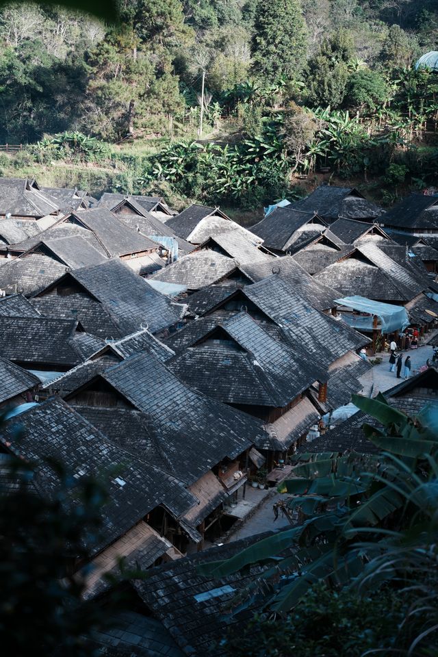 景邁山必打卡攻略|在雲海茶山中邂逅5個民族風情 景邁山必打卡攻略|在雲海茶山中邂逅5個民族風情