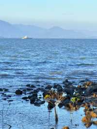 在深圳！找到了《怦然心動》同款的浪漫！