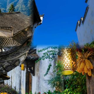 Stunning Autumn Colors! Qi Yun Mountain One-Day Essential Tour Guide 