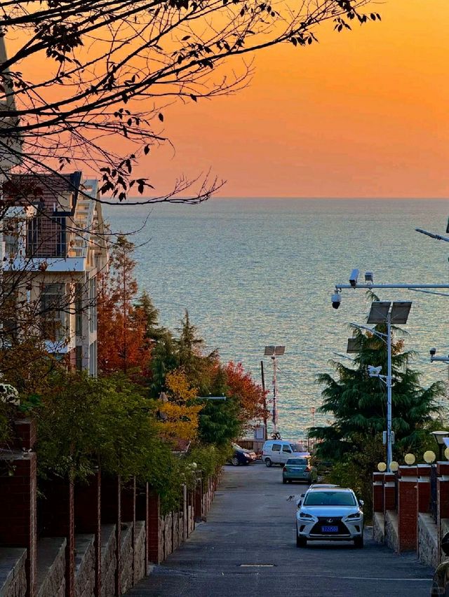 제주도 아닌 청도에서 만난 한겨울 파란 멜로🌅