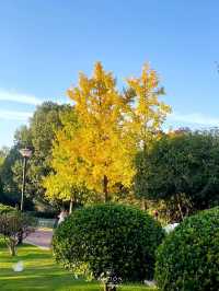 義烏開臣璞瑞&義烏植物園遊玩攻略