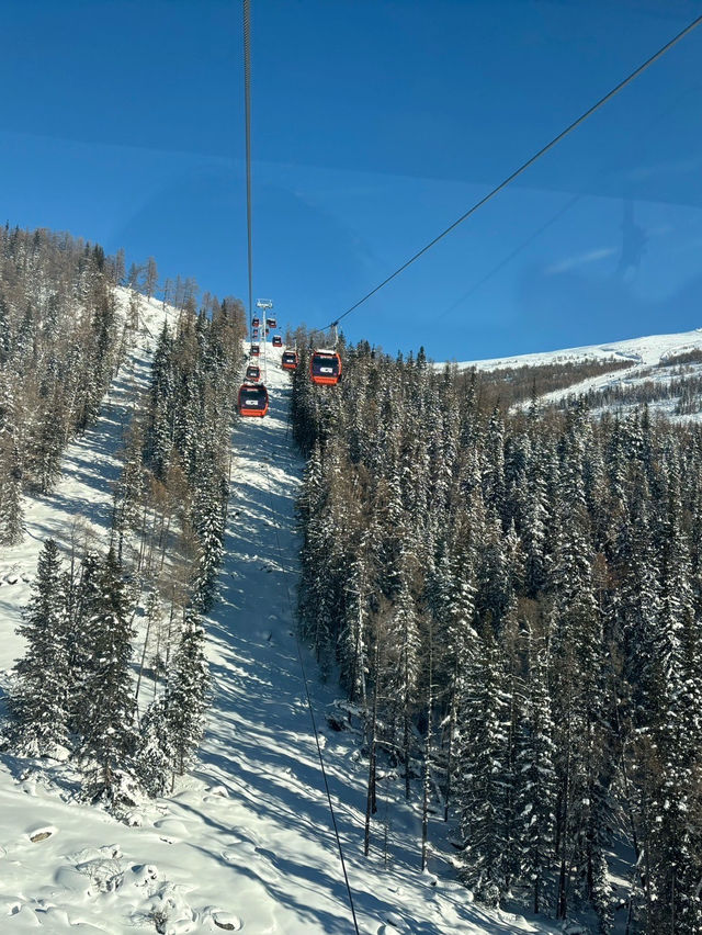 可可托海滑雪攻略 | 打蠟免費！3100米絕美雪景！