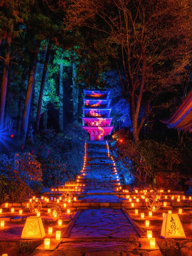 爆美！！！奈良室生寺紅葉燈光展·小眾秘境打卡指南