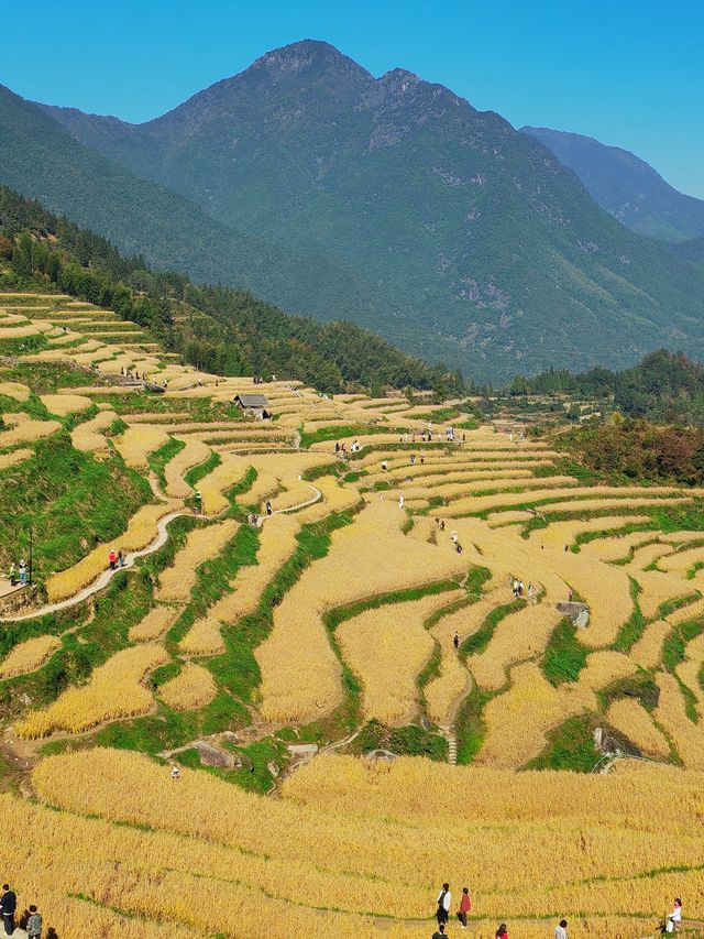 雲和梯田 雲和梯田