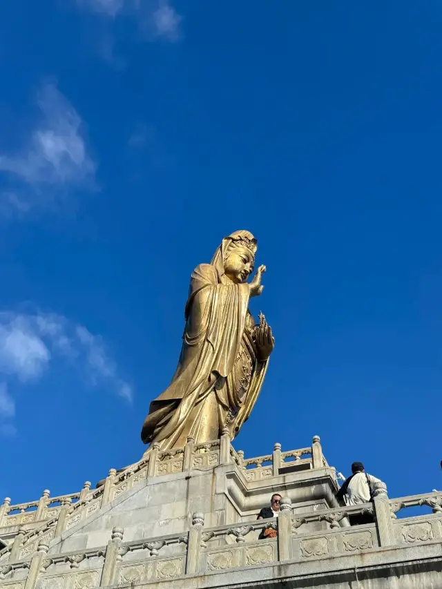 東陽出發普陀山，兩天一夜全攻略