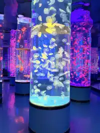 目測會成為泉州下一個No.1