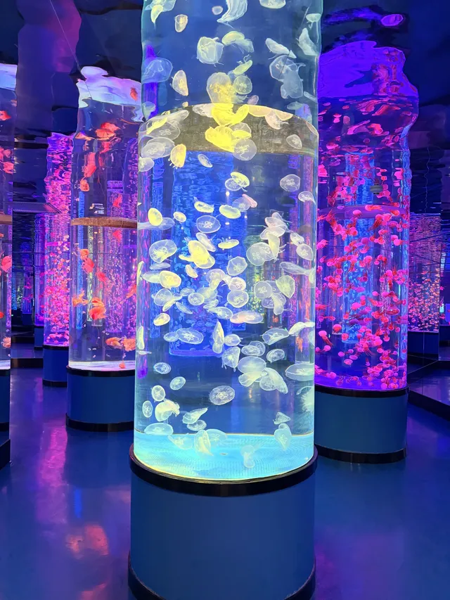 目測會成為泉州下一個No.1