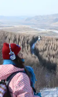 去了沒有雪松的樺皮嶺,想看你們拍的雪松