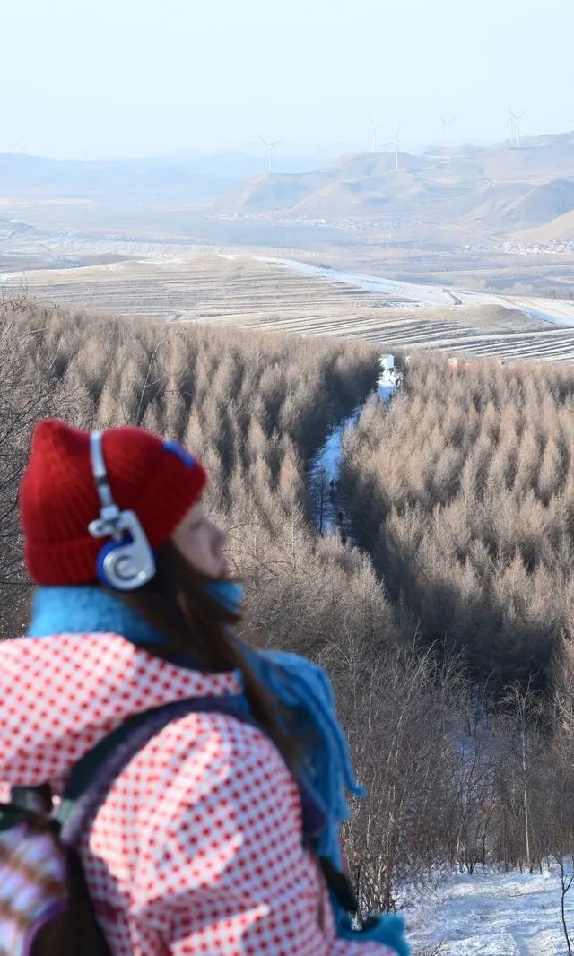 去了沒有雪松的樺皮嶺,想看你們拍的雪松 去了沒有雪松的樺皮嶺,想看你們拍的雪松