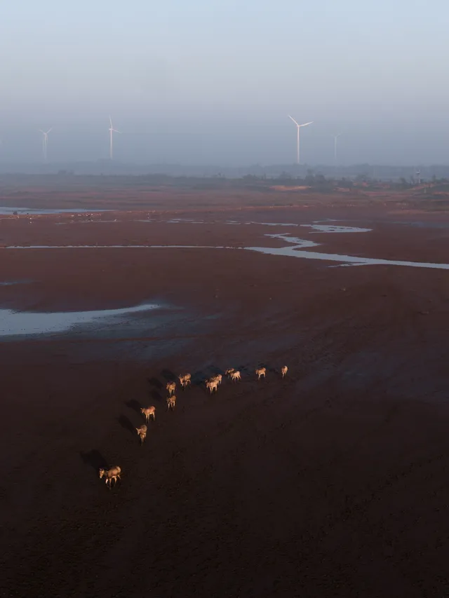 鹽城丨朋友都以為我去了肯尼亞 鹽城丨朋友都以為我去了肯尼亞