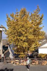 以為黃山夠美了,直到我去了隔壁這裡......