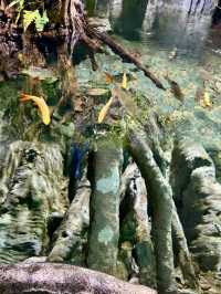 Shanghai’s Ultimate Urban Jungle Adventure🎉: Parent-Child Weekend Guide 🌿🤩