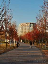 蘇州河畔超全秋日打卡攻略隨手拍都是電影感!