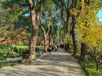 崑山2日遊：虎丘山、拙政園賞園林，周莊古鎮品水鄉