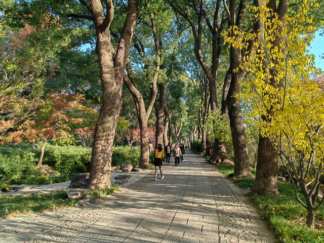 崑山2日遊：虎丘山、拙政園賞園林，周莊古鎮品水鄉