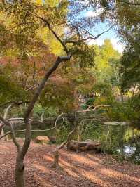 小橋流水古風祕境