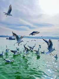 在陸渾,打撈一場盛大的日落