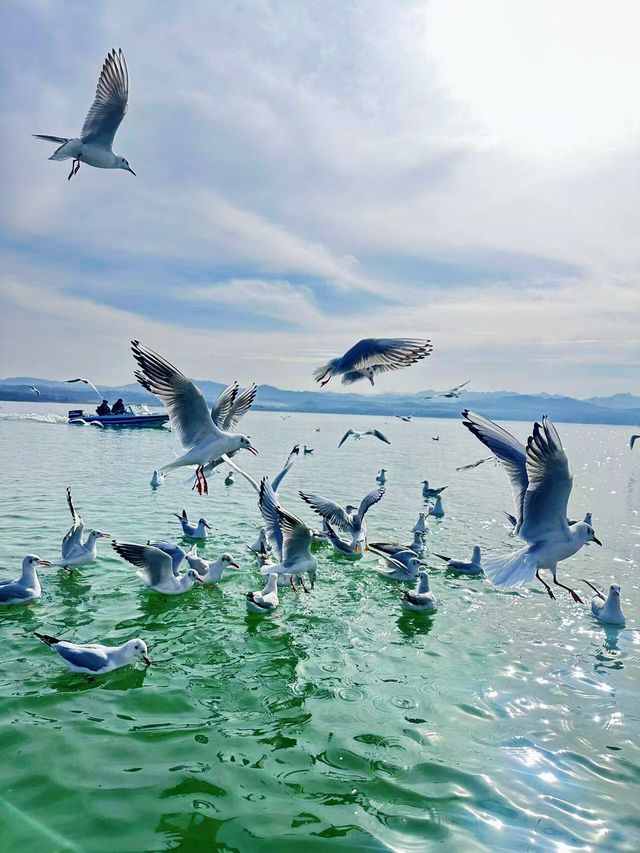 在陸渾,打撈一場盛大的日落 在陸渾,打撈一場盛大的日落