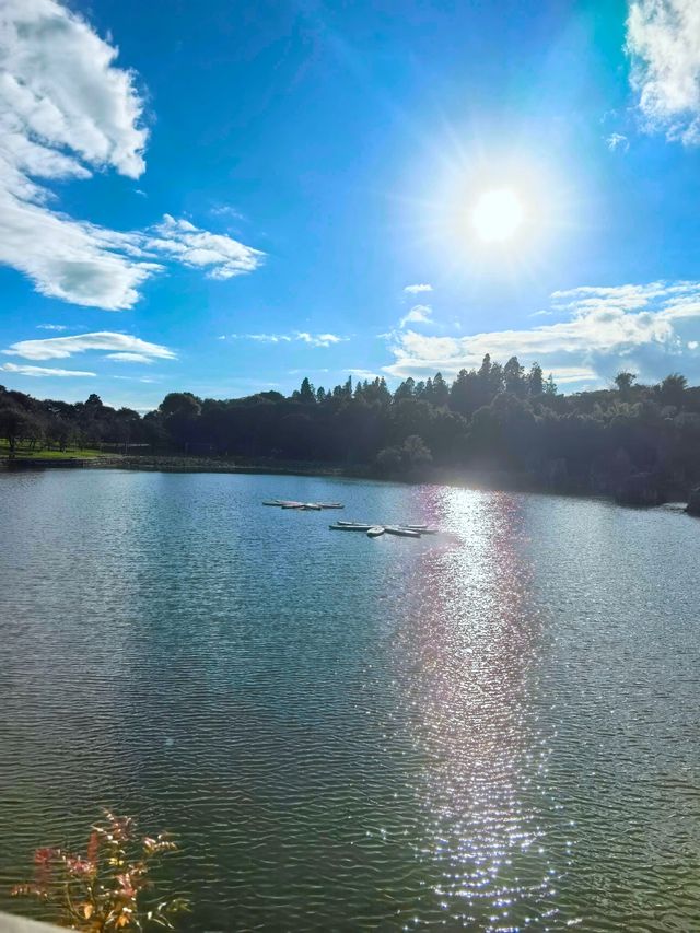 石林一日遊攻略：4小時玩轉大石林+小石林，不走冤枉路