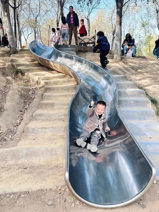 西安周邊藏著童話紅杉林隨手一拍直接封神 西安周邊藏著童話紅杉林隨手一拍直接封神