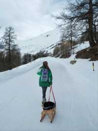 Sledging at Julierpass – Pure Winter Magic 🛷