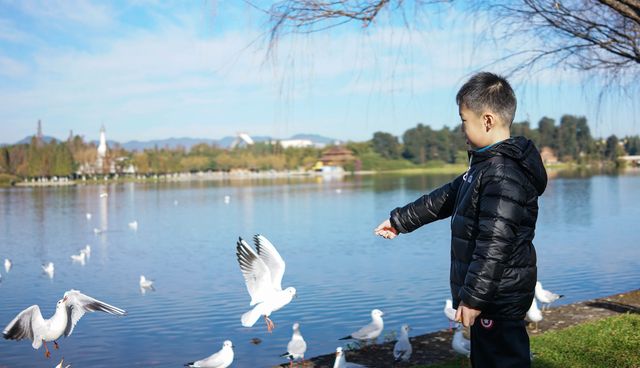 陪老帶娃住昆明-海埂溫泉花園酒店 陪老帶娃住昆明-海埂溫泉花園酒店