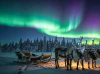 Mohe’s Northern Lights: China’s Only Arctic Light Show You Can’t Miss!