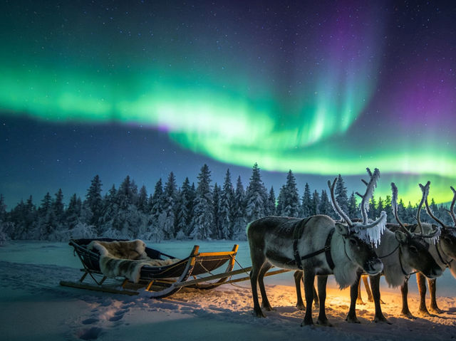 Mohe’s Northern Lights: China’s Only Arctic Light Show You Can’t Miss! Mohe’s Northern Lights: China’s Only Arctic Light Show You Can’t Miss!