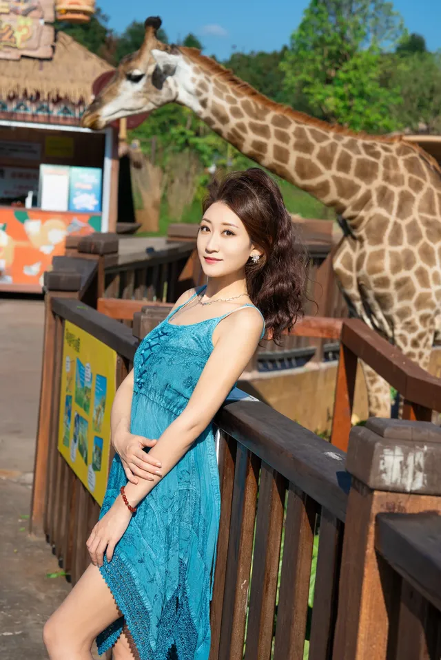 清遠長隆森林王國跟拍竟然用不了300