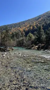 雲南7天6晚solotrip repo