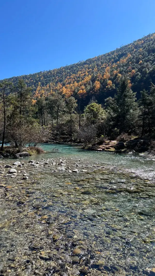 雲南7天6晚solotrip repo 雲南7天6晚solotrip repo