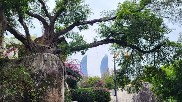 廈門南普陀寺 廈門南普陀寺